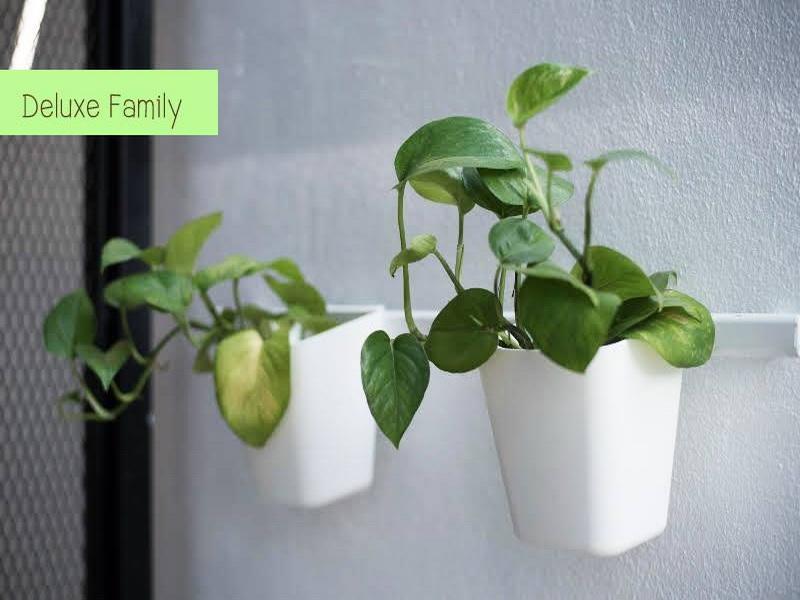 The Leaf Chiangmai Service Apartment Chiang Mai Exterior photo